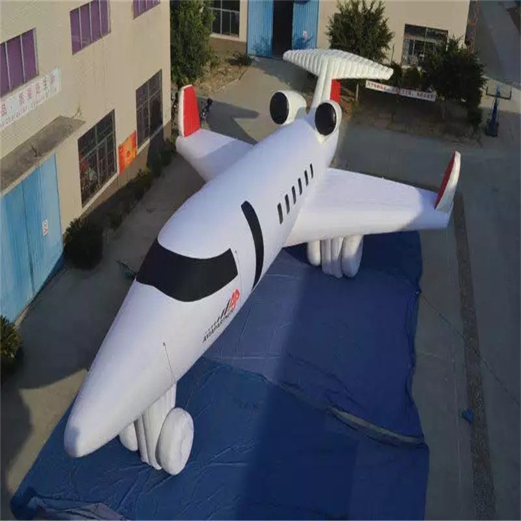 东莞生态园充气模型飞机